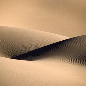 Sensuele zandduin. Sahara woestijn. van Frans Lemmens