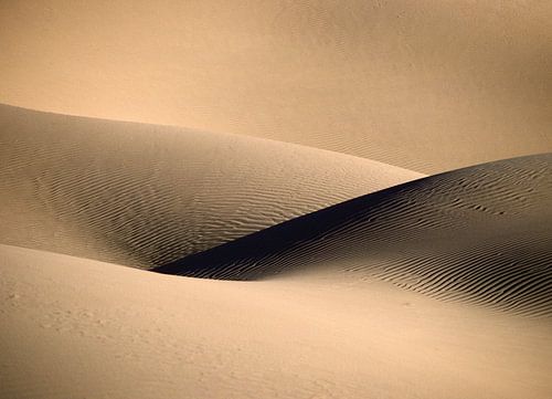 Sensual sand dune. Sahara desert.
