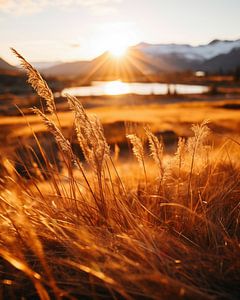 Herbst im Yukon