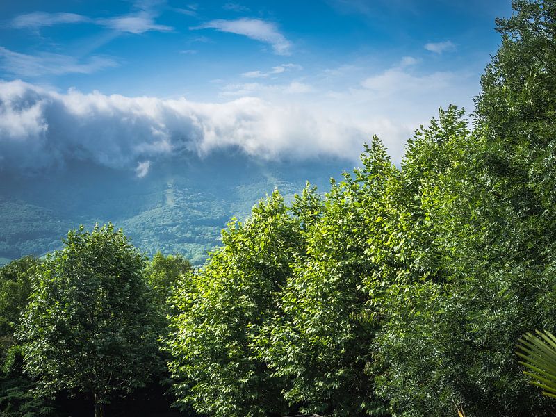 Nebel-Landschaft in den Bergen von Martijn Tilroe