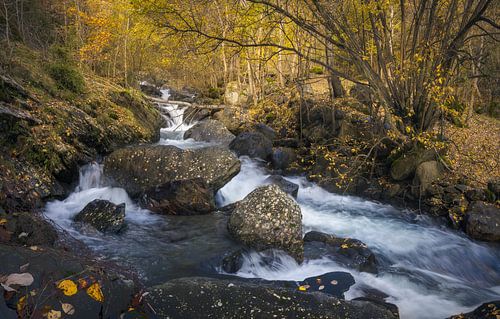 De rustgevende stroming van de Riquerna in het adembenemende La Vall Fo