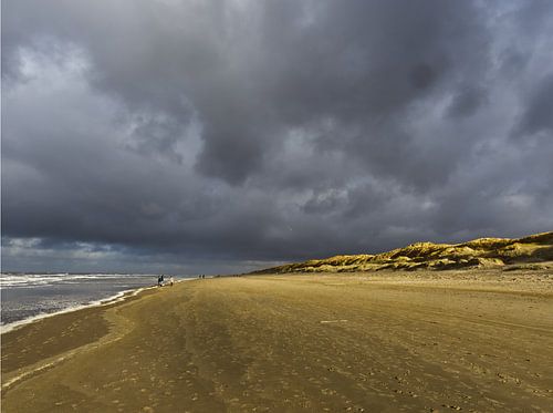 Plage de Texel