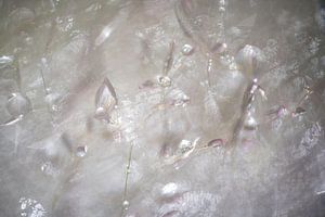 Murmures de lumière et d'eau