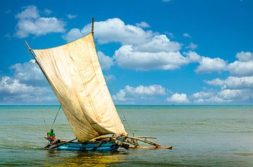 Outrigger boot met zeil aan de kust van Negombo Sri Lanka van Dieter Walther