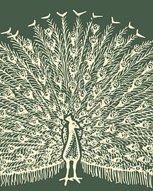 Paon sur fond vert sur FRESH Fine Art