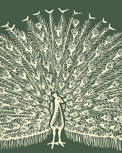 Peacock on green