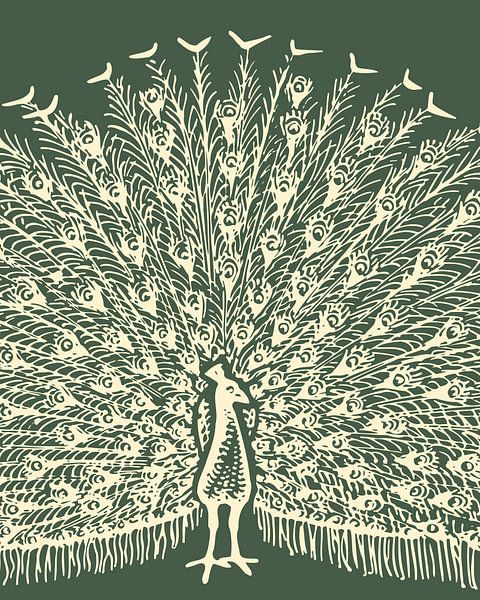 Peacock on green by FRESH Fine Art