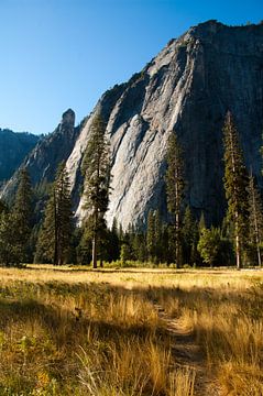 Wiese im Yosemite Valley von Klaas Lauwers