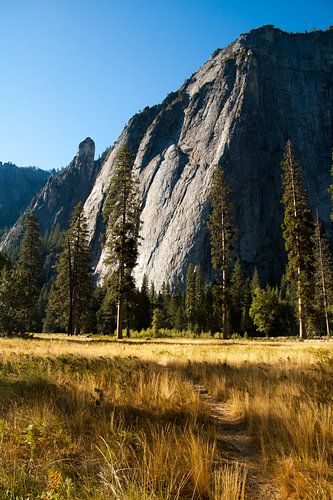 Meadow in Yosemite Valley by Klaas Lauwers