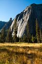 Weide in Yosemite Valley van Klaas Lauwers thumbnail