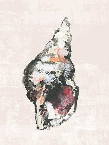 Painted Coastal Shell