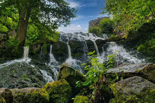 Kleine waterval in het bos met mos op stenen