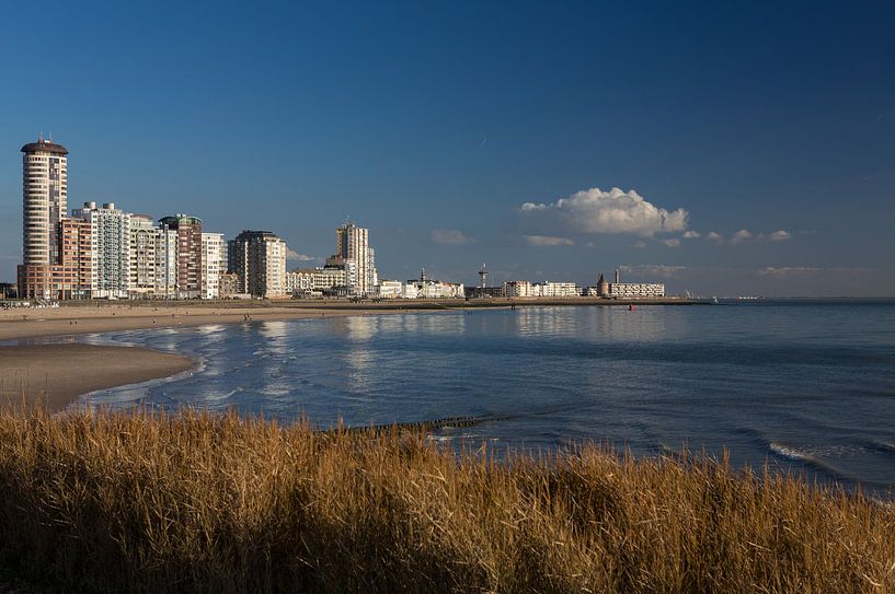 Vlissingen skyline in daylight by MSP Canvas