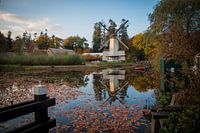 Paltrokmolen Houtzaagmolen Mijn Genoegen