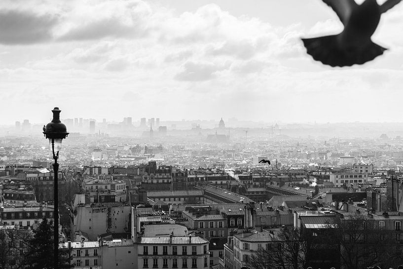 Daken van Parijs vanaf Montmartre van Jeroen Savelkouls Fotografie