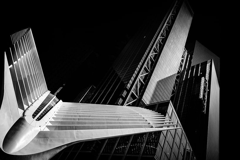 FineArt in zwart-wit, Manhattan van Eddy Westdijk