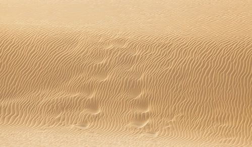 Desert Sand