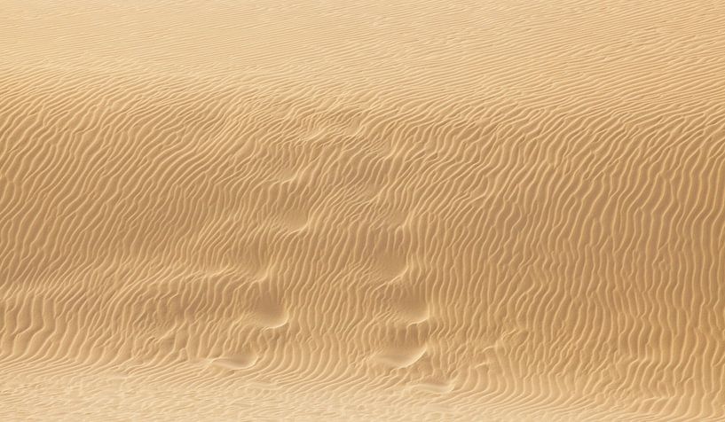 Desert Sand by Bo Valentino