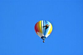 Heißluftballon mit Taube