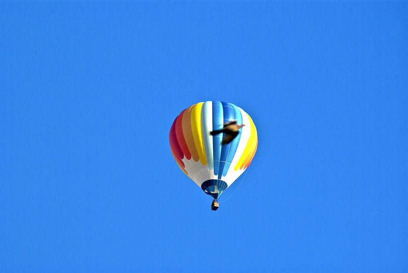 ballon à air chaud avec pigeon par Norbert Sülzner