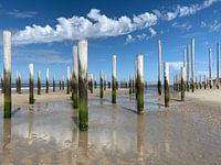 Palendorp Petten