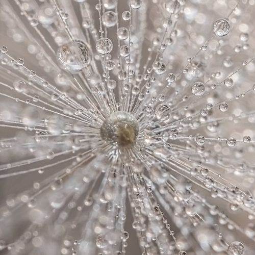 Een abstract vierkantje met druppels in natuurlijke kleuren