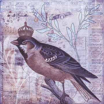 King of the birds van Andrea Haase