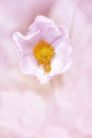 ein Hauch von Herbst von Anneliese Grünwald-Märkl