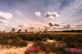 Clouds above the flowering heath by Bert-Jan de Wagenaar