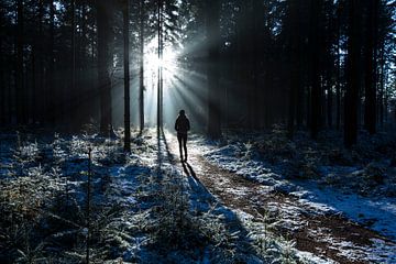 Zonsondergang besneeuwde bossen van Marcel Kerdijk