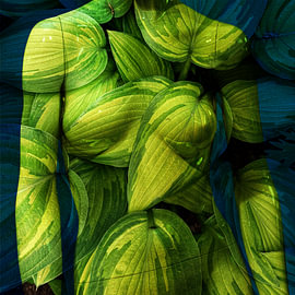 BODYART 15 von PIXART by ROB
