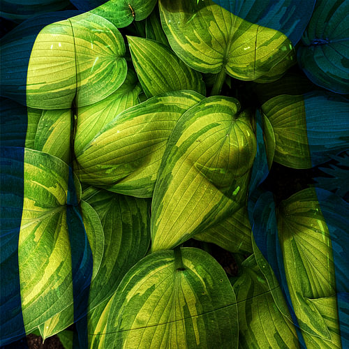 BODYART 15