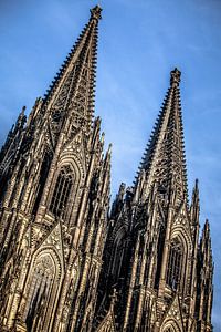 dumm in Köln