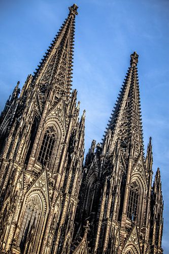 muet dans l'eau de Cologne