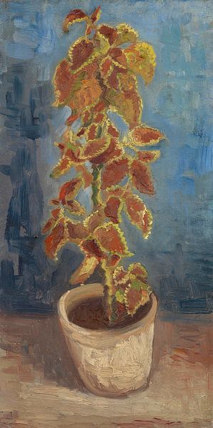 Coleuspflanze in einem Blumentopf, Vincent van Gogh von Meesterlijcke Meesters