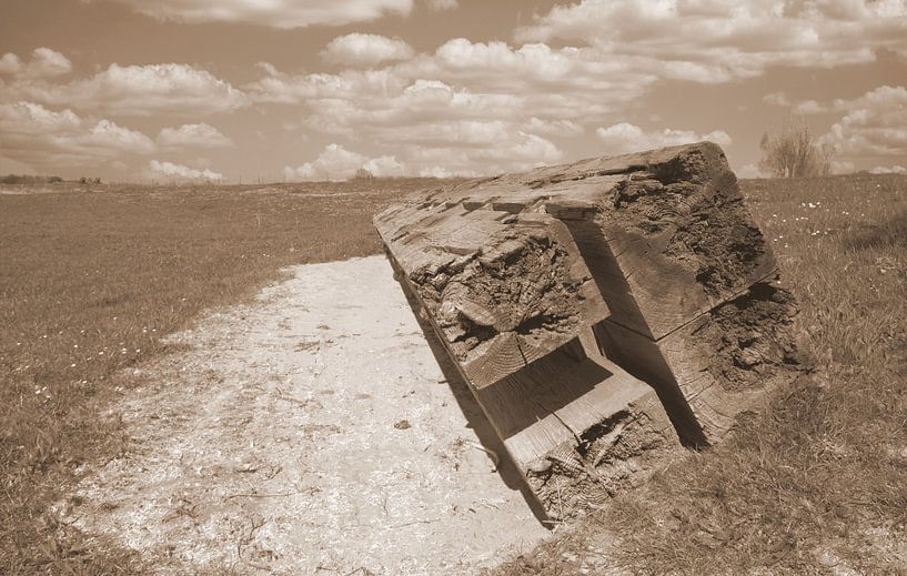 Großer Strahl von Jose Lok