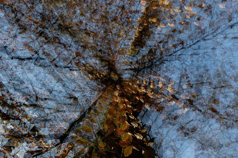 Arbre à éclairage multiple par Anne Ponsen