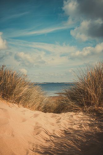 Doorkijkje bij begroeide duinen