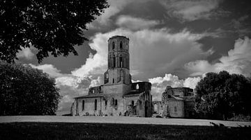 Le mystère de l'abbaye de la Sauve-Majeure en noir et blanc sur Jos Voormolen