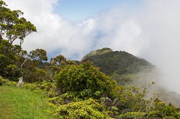 Waimea canyon by Andrea Ooms