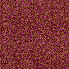 Septette aus drei Blumen von Tis Veugen