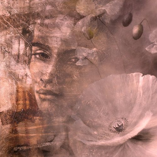 Dreaming of summer: Dreamy view of poppy blossoms and buds