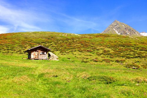 Ein Logenplatz in den Alpen