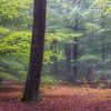 Autumn panorama by Jurjen Veerman
