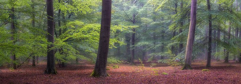 Herfst panorama van Jurjen Veerman