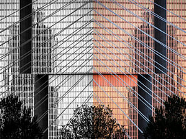 Linien, Glas und Bäume. von Rob van der Wal