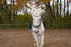 Training mit dem weißen Pferd auf einem Reitplatz im Herbst