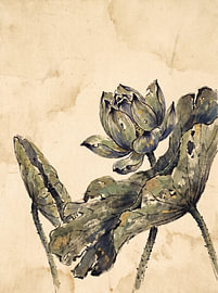 Heitere Lotusblüte und verwelkte Blätter von Syapaat syapaat