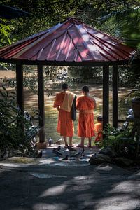 Buddhistische Mönche am Fluss in Thailand
