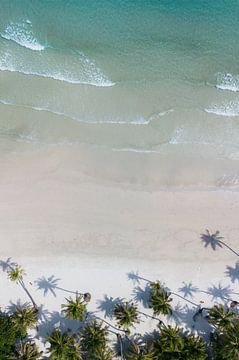 Palmbomen met schaduwen op tropisch wit strand - Tropische zomer van Marit Hilarius